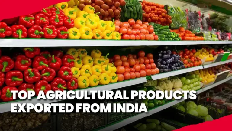 Bridging Continents: How RGO Global Makes Exporting Indian Agricultural Products Seamless and Reliable