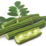 MORINGA STICKS(DRUM STICKS)